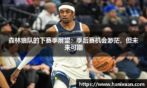 森林狼队的下赛季展望：季后赛机会渺茫，但未来可期